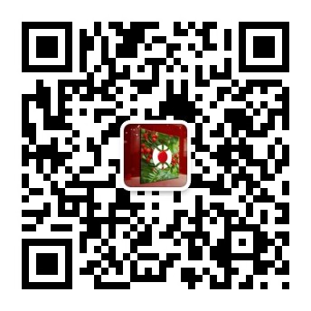 梅州“产”红豆杉获国家林业局保护认证
